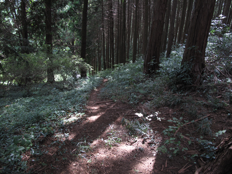 20161007hike (35)